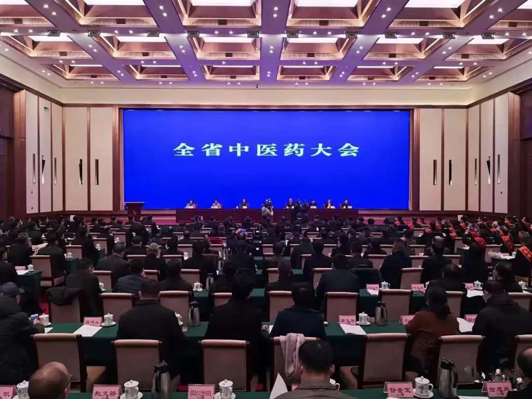 见证盛典，公司应邀参加 湖南省中医药大会